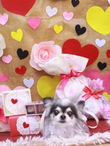 20230219クオンくん